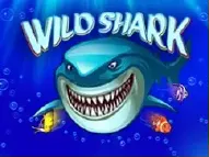 Slot Wild Shark